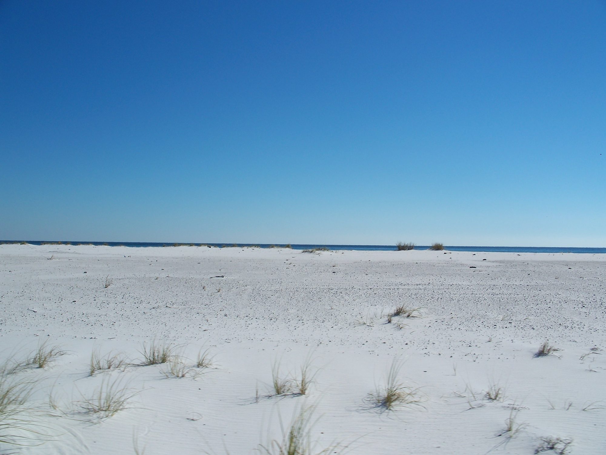 Protected shoreline of Gulf Islands National Seashore